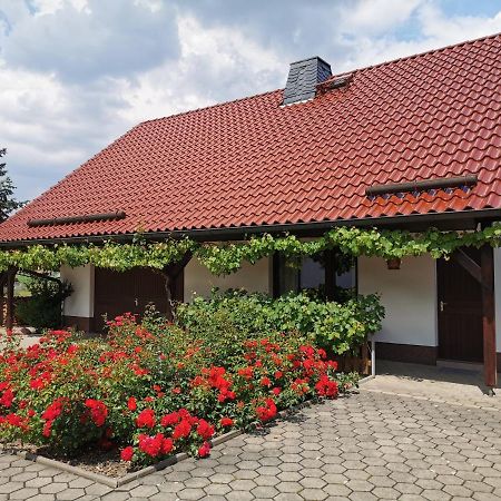 Glaubitz Ferienhaus Rosenhof מראה חיצוני תמונה