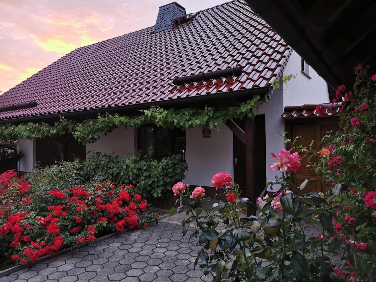 Glaubitz Ferienhaus Rosenhof מראה חיצוני תמונה