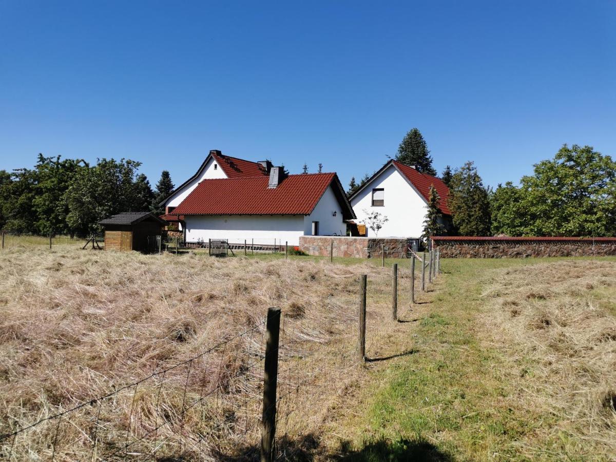 Glaubitz Ferienhaus Rosenhof מראה חיצוני תמונה