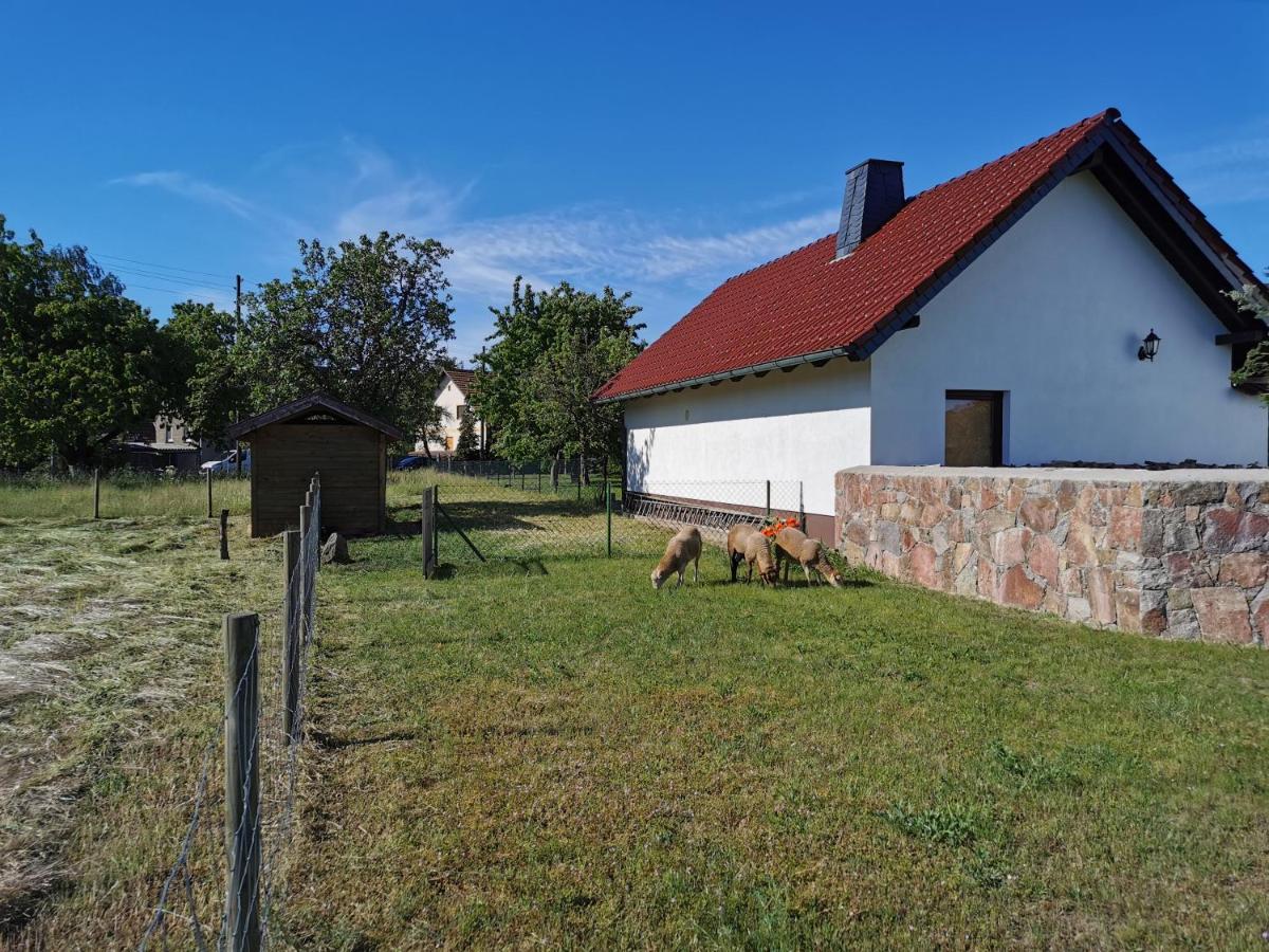 Glaubitz Ferienhaus Rosenhof מראה חיצוני תמונה